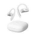 67229_2_bbhearing.jpg